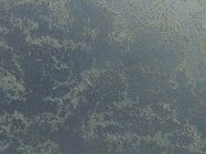 декоративная штукатурка морской бриз